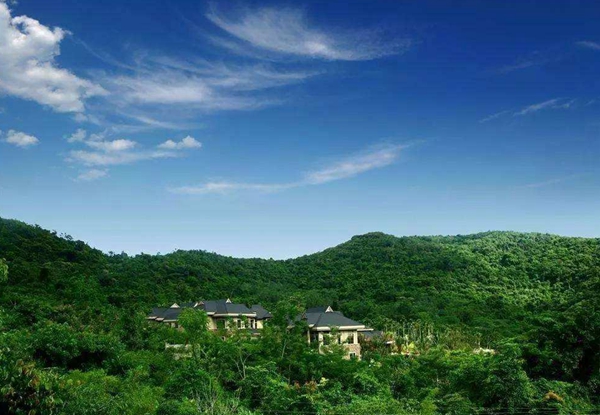 农林业包括哪些行业 ，注册海南公司新优惠政策.jpg