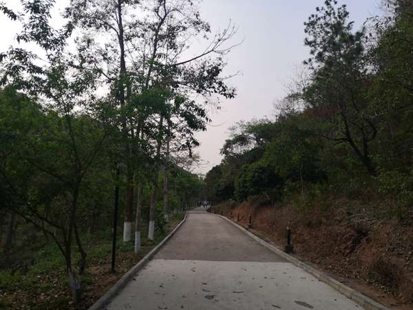 外地人在海口注册公司海南落户条件