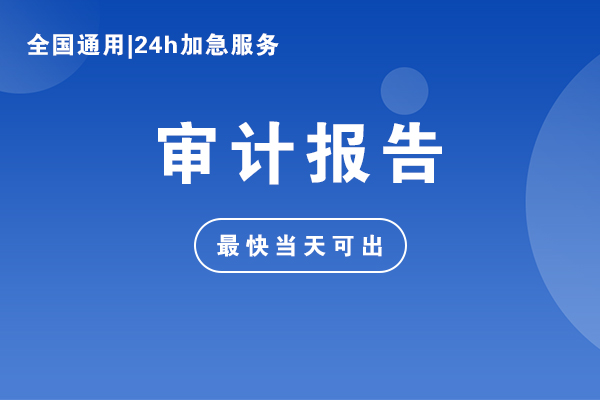 公司审计报告